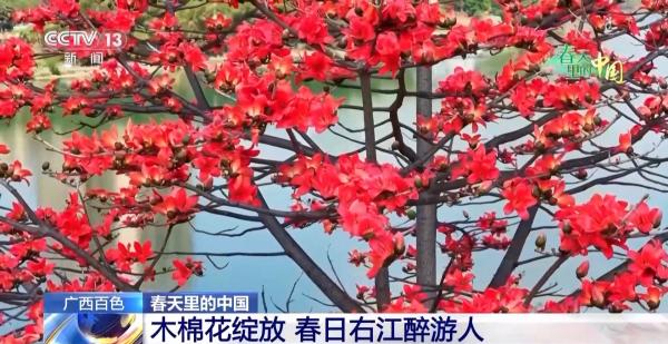 踏青赏花正当时 这些地方藏着春日浪漫花海